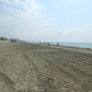 import placeholder for 29